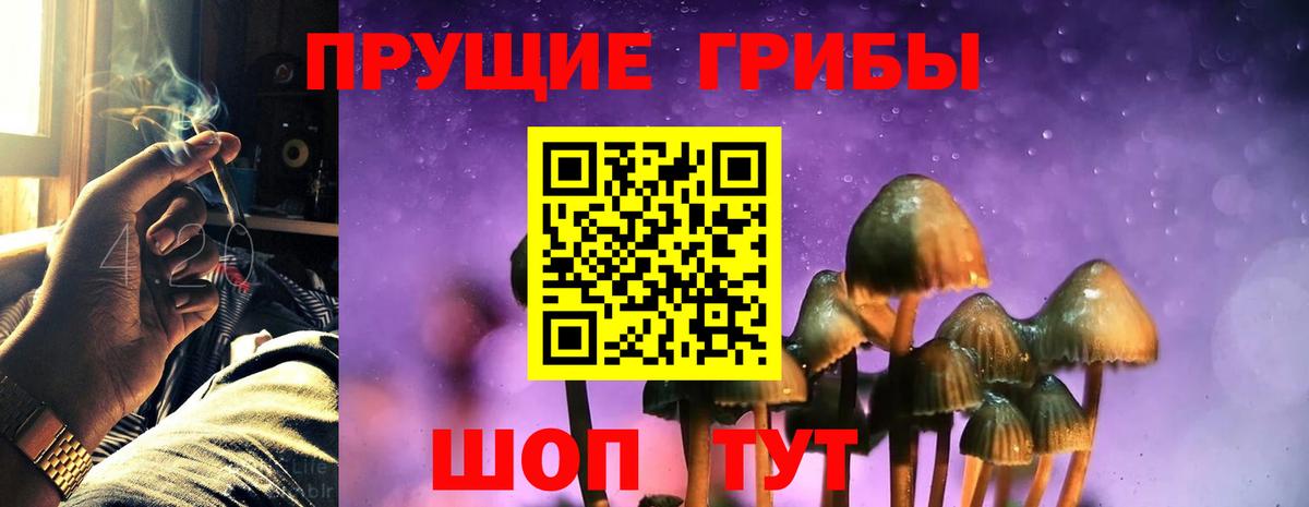 Галлюциногенные грибы Psilocybe Ялуторовск