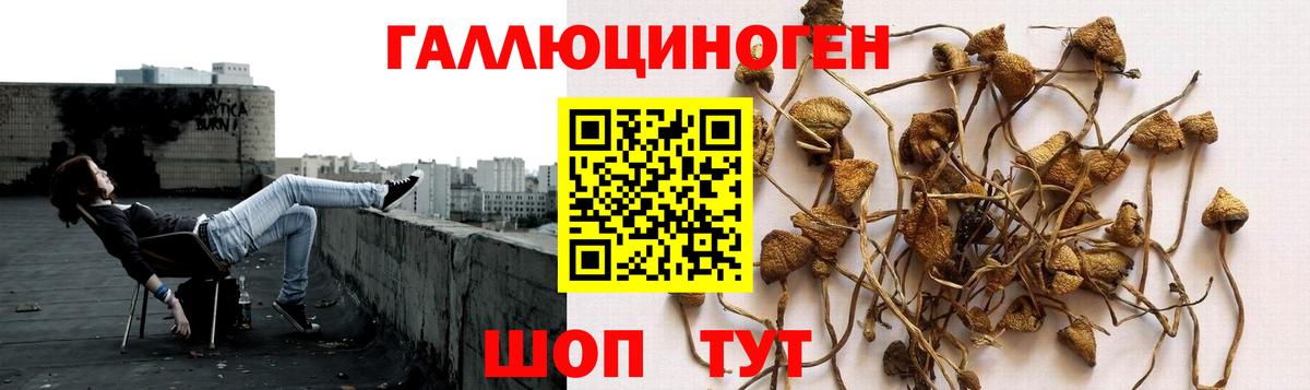 Ялуторовск  Псилоцибиновые грибы ЛСД  Вход с VPN 